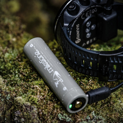 Milestone Smart Mobile Battery